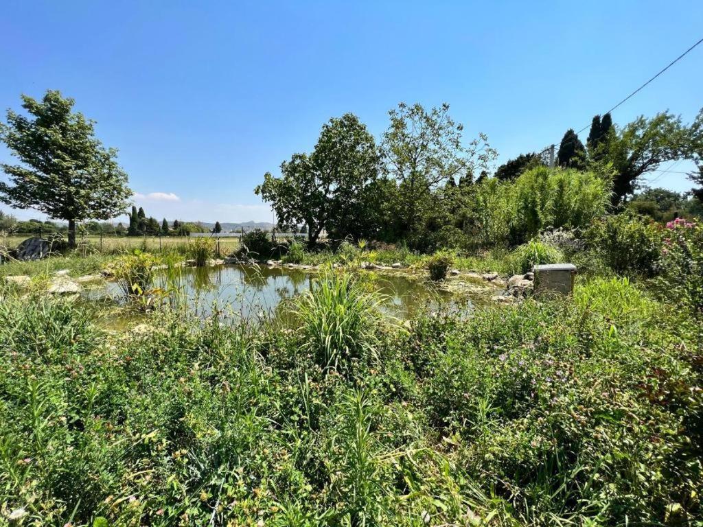 普罗旺斯地区萨隆Bastide Des Martelieres住宿加早餐旅馆 外观 照片